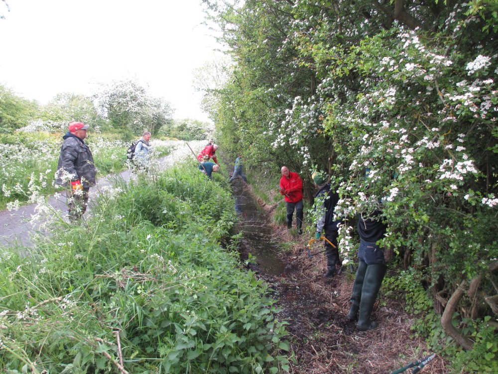 Hard at work clearing the ditch